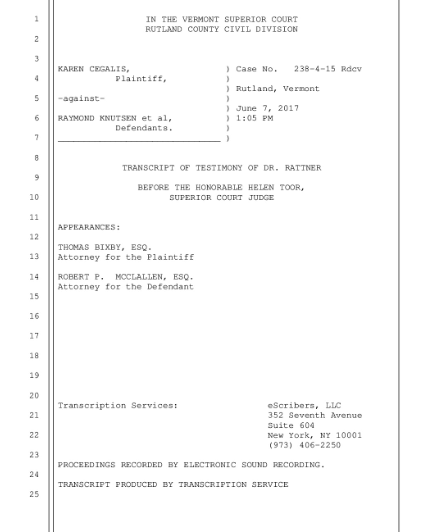 The Financial Relationship Behind Bambi Rattner’s Civil Testimony